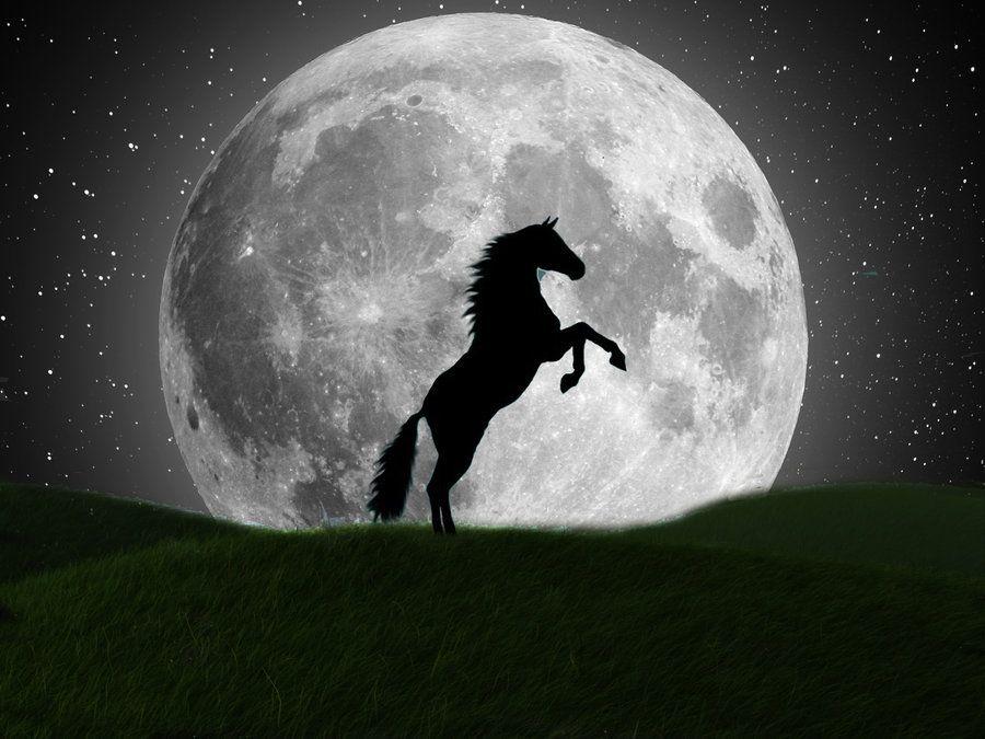 4d89ac10027394bf1988e91f43fd6003