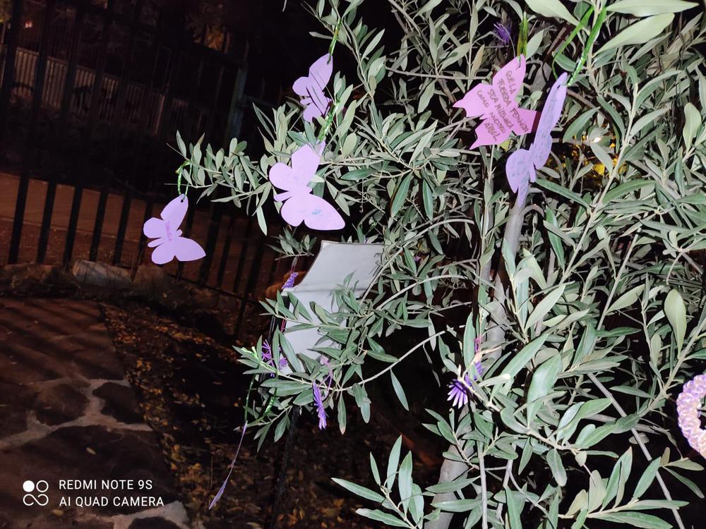 WhatsApp Image 2022-11-25 at 09.10.21