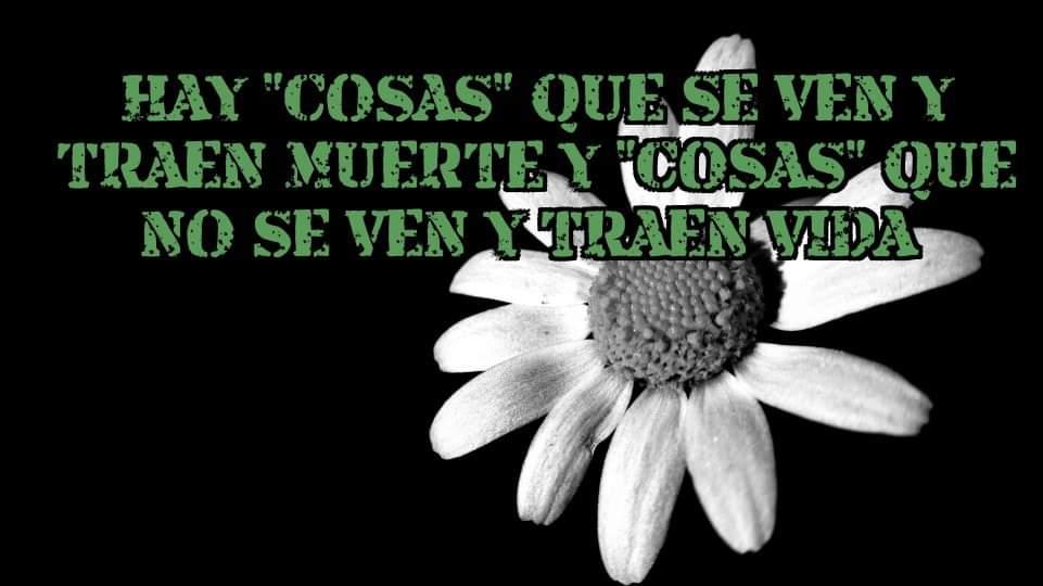 WhatsApp Image 2021-03-16 at 22.37.33