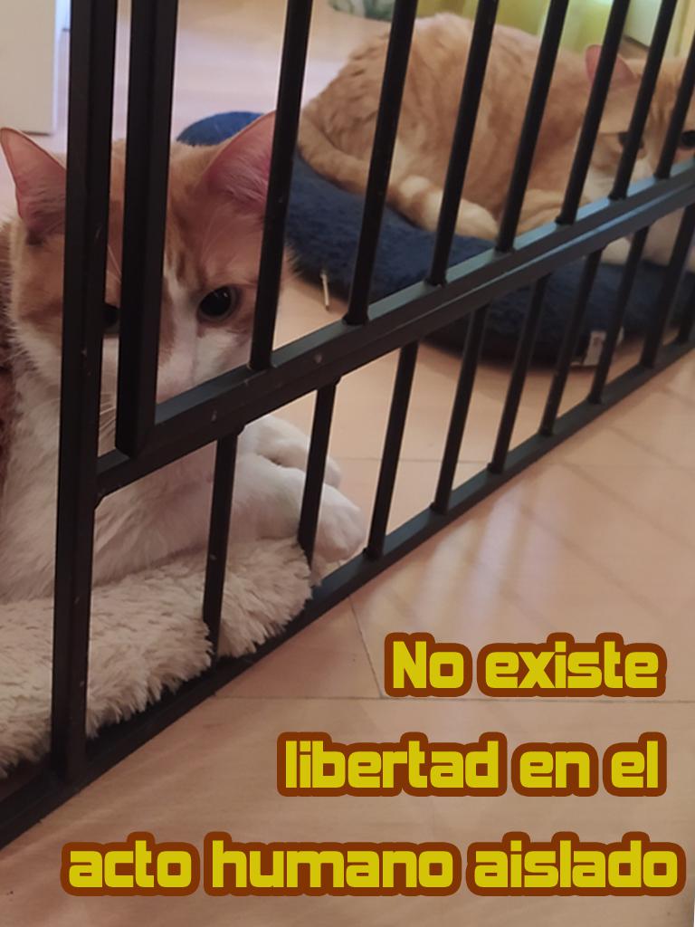 1no existe libertad copia