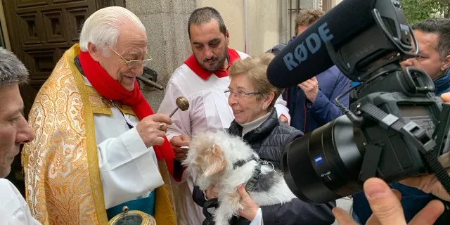 san-anton-patron-animales