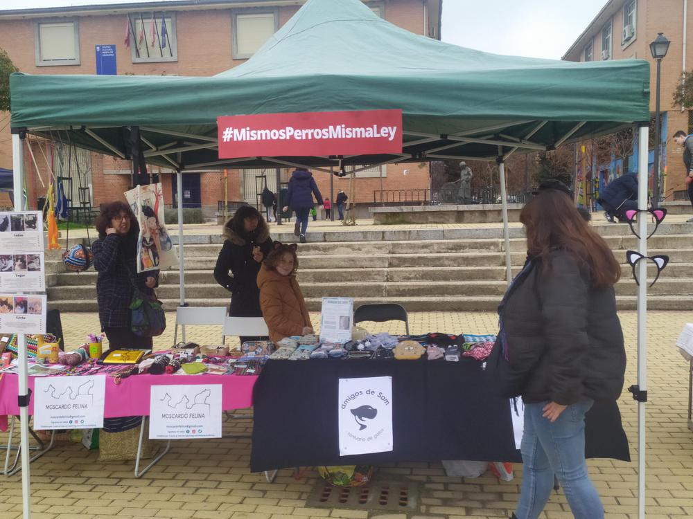 mismo perros misma ley