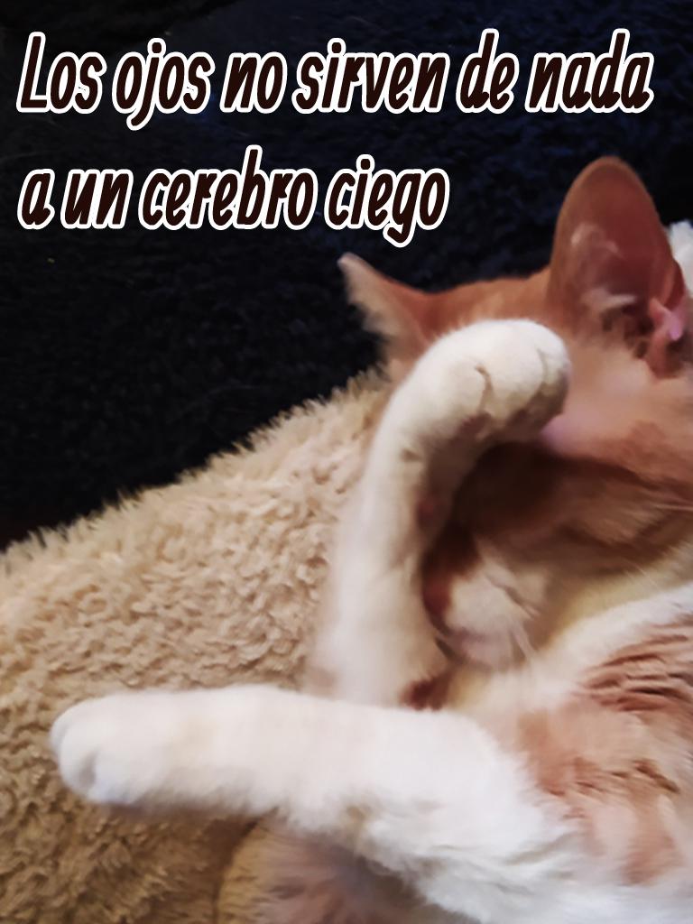 1temer a la vida 6 copia