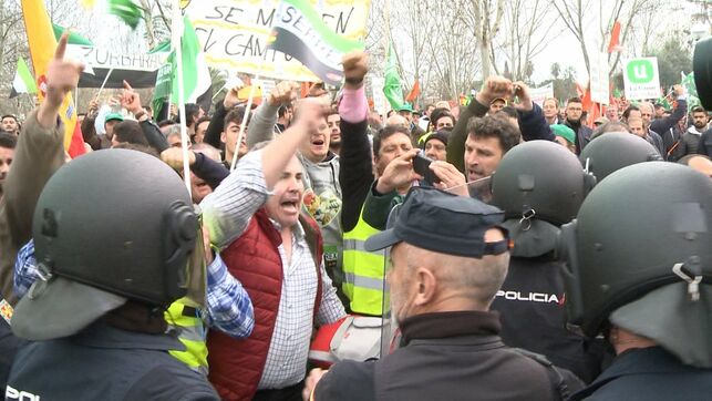 manifestaciones