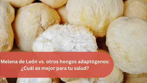 hongos