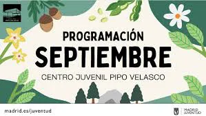 Pipo descarga