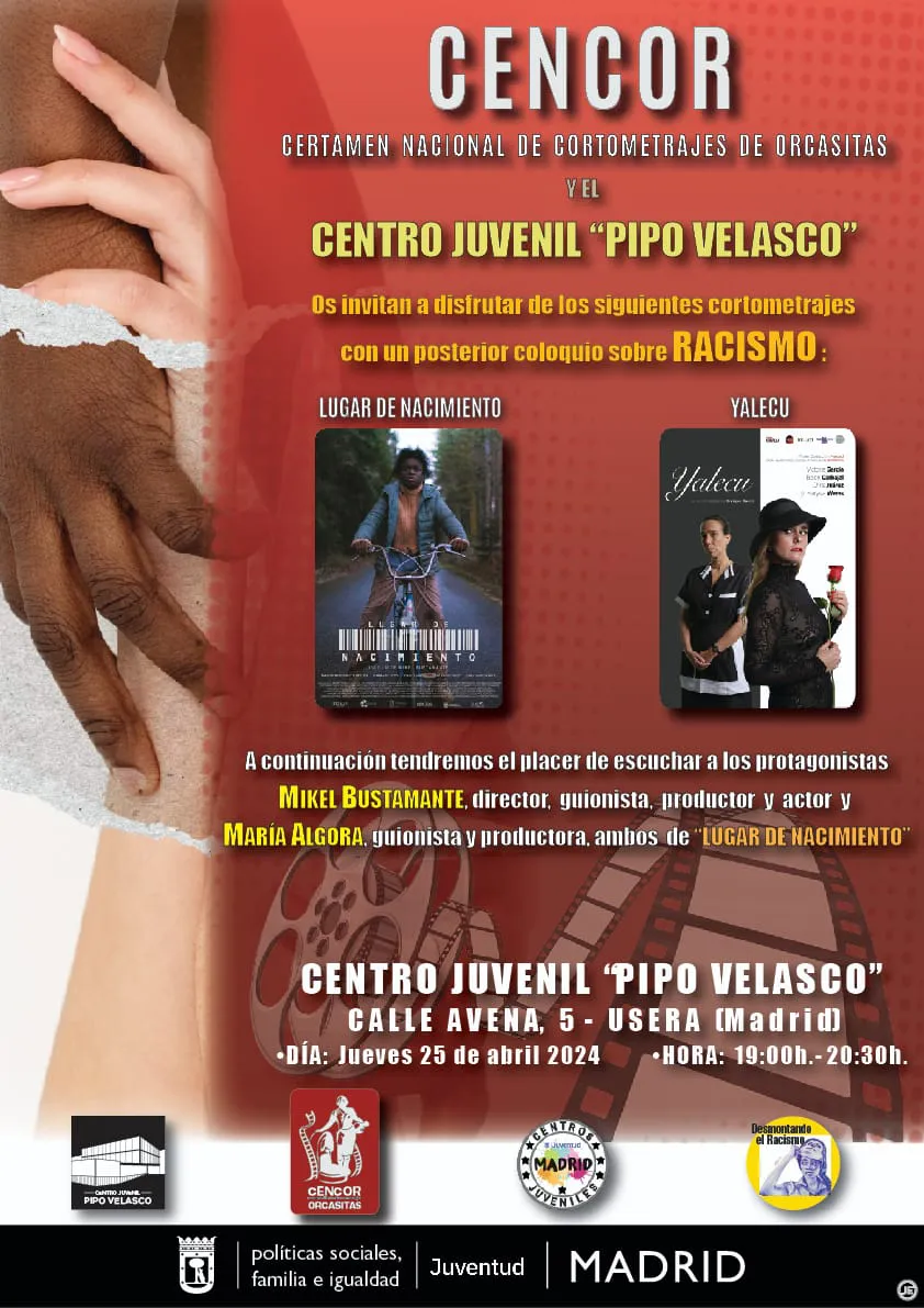 Pipo