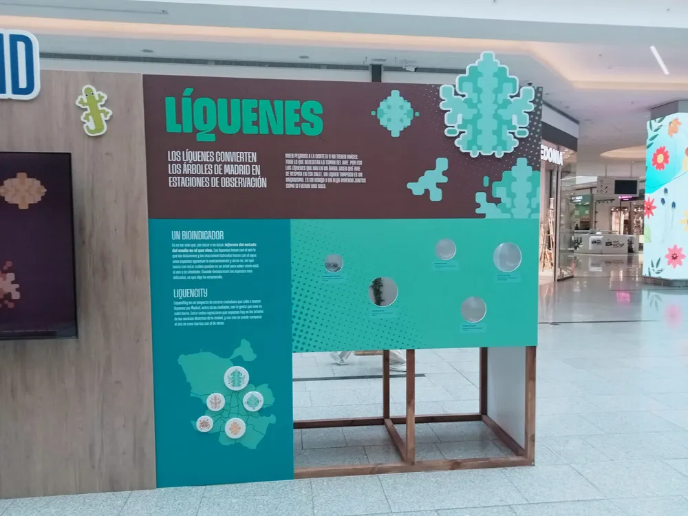 Liquenes