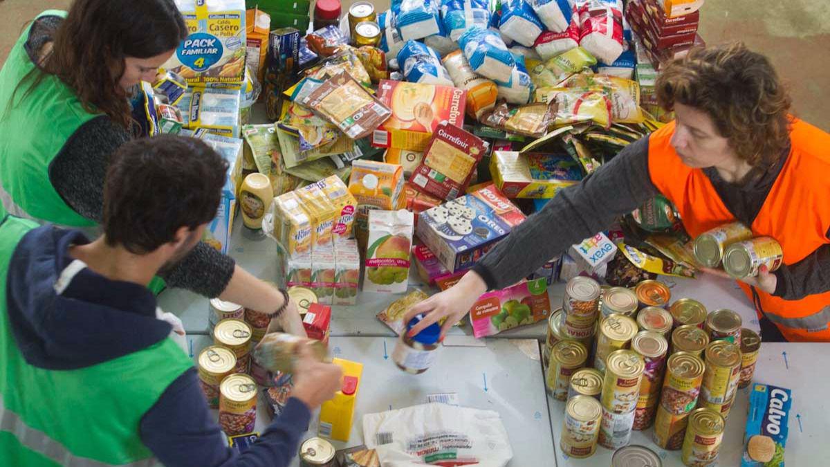 alimentos