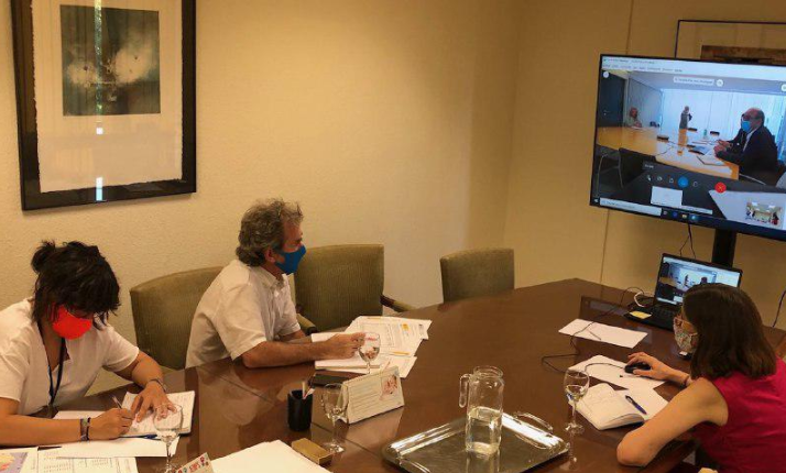 Reunión telematica de FernandoSimón con CCAA