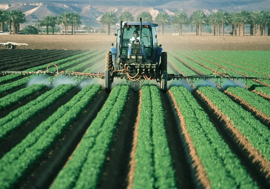 Agricultura y ganadería.