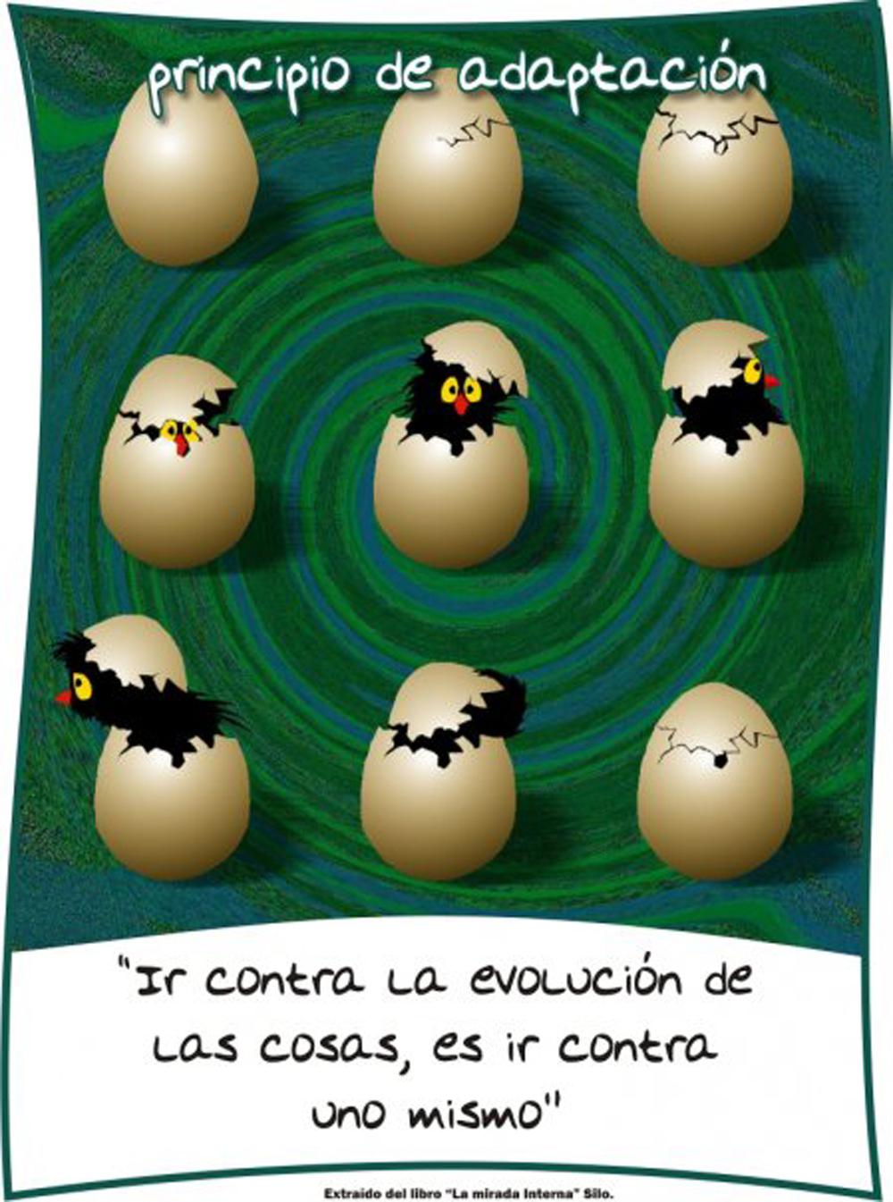 principio1