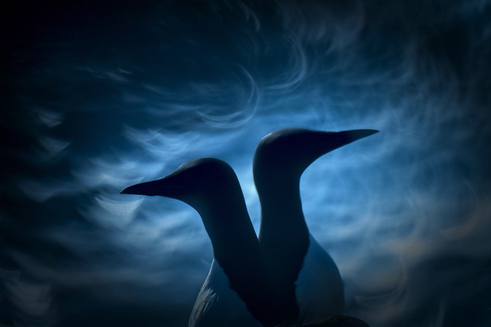 Disagreement, por Francis De Andrés De Miguel