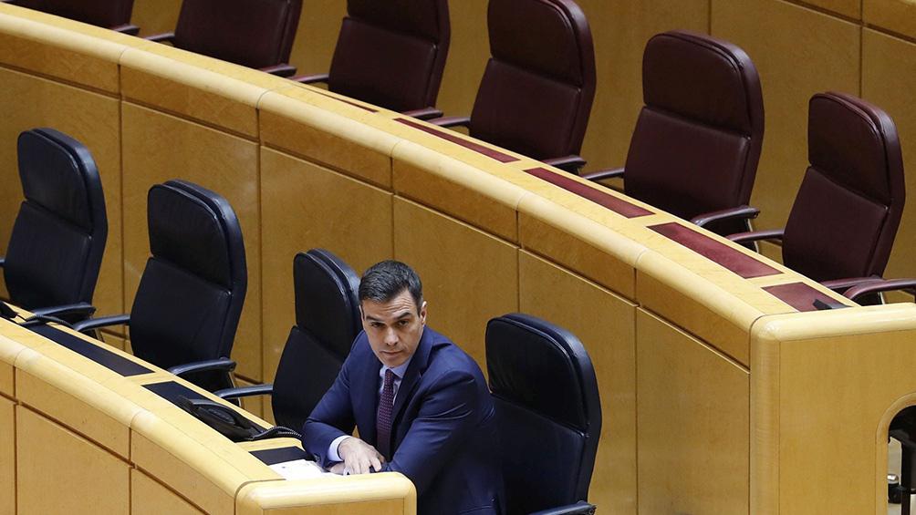 sanchez senado