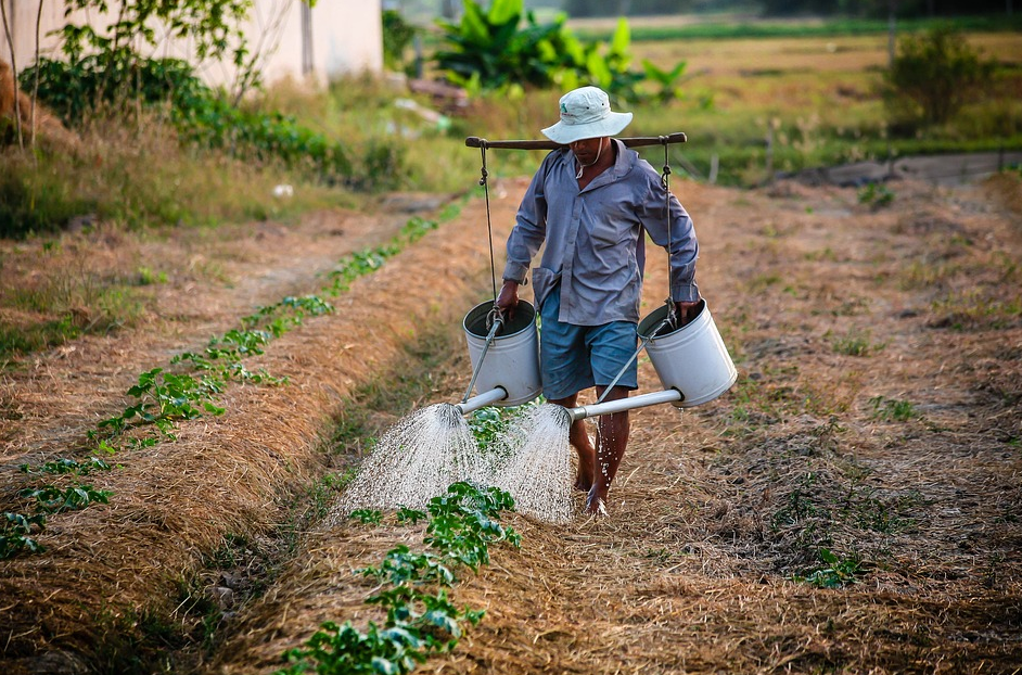 trabajo forzoso. Pixabay