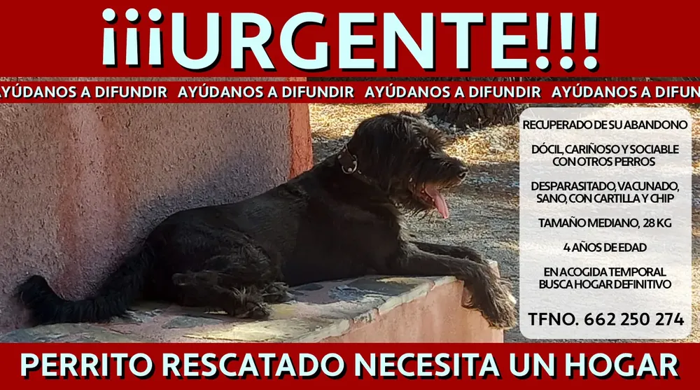 WhatsApp Image 2023-09-04 at 12.39.09