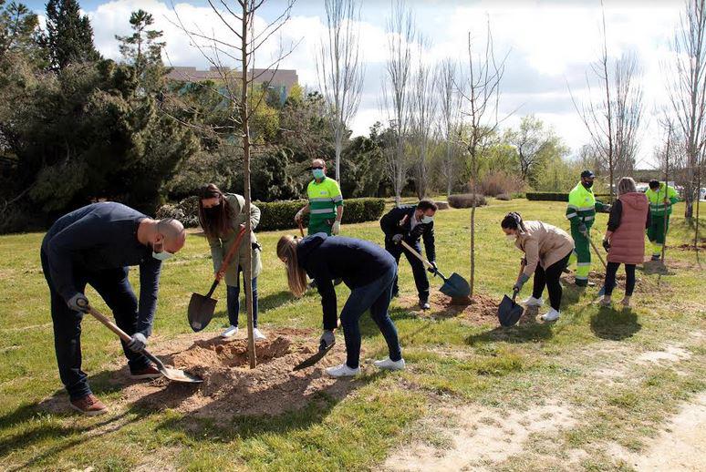 Parcesa planta arboles - IP