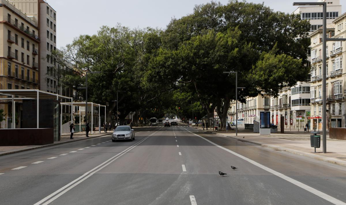 alamedaC