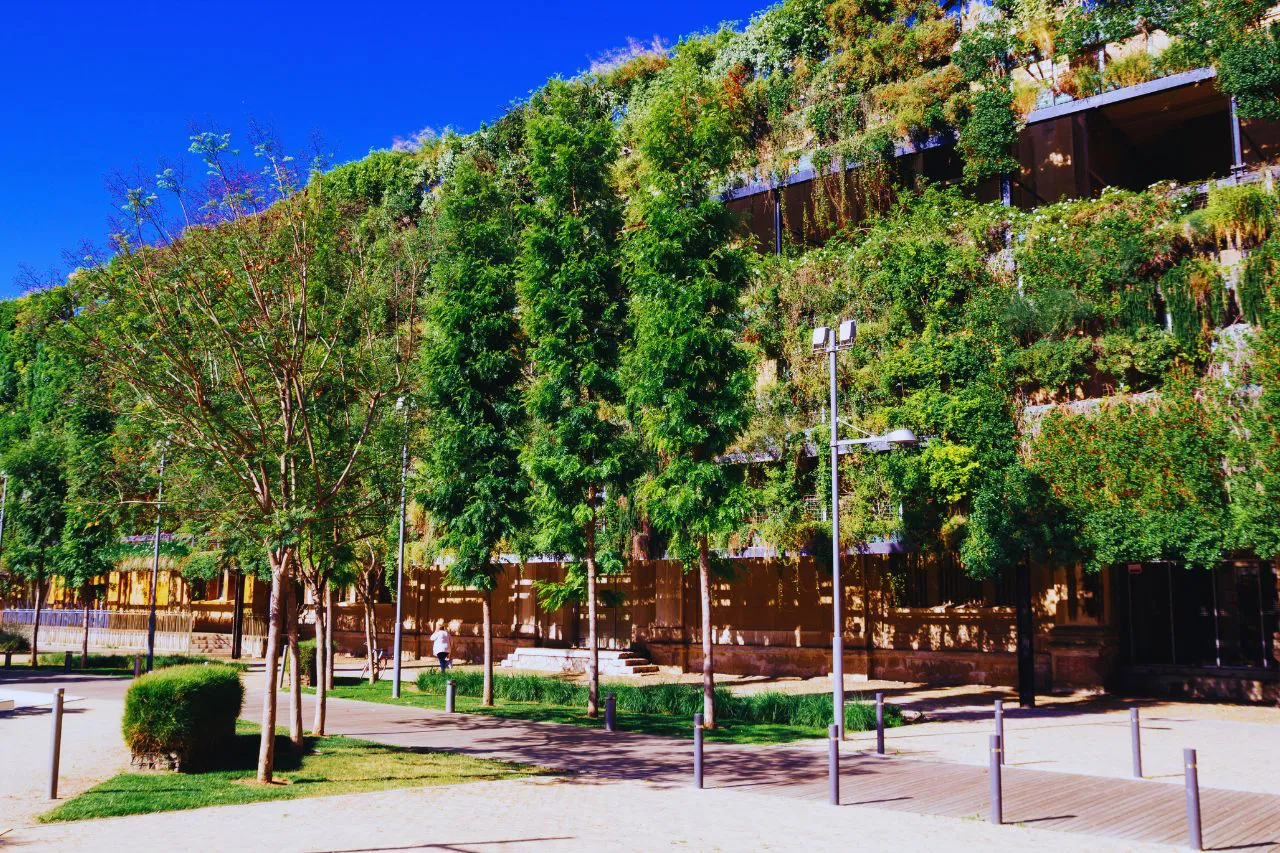 estudios de arquitectura en coruña - IP