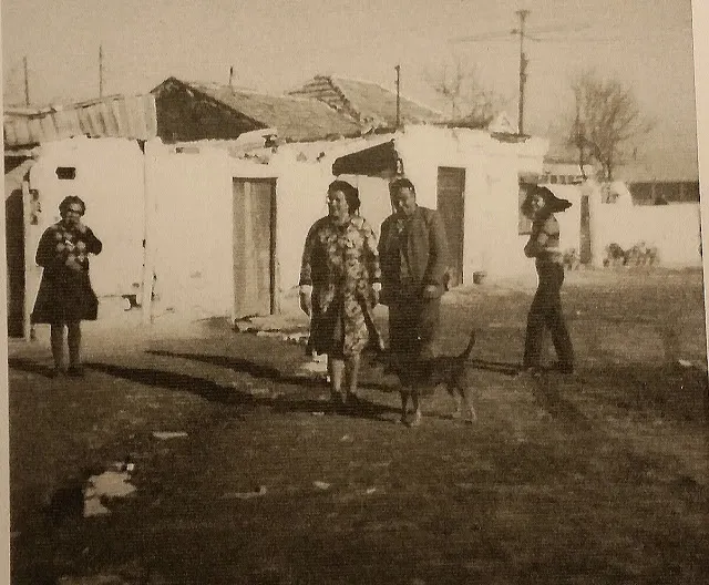 66aef9_9c13146471a748be882a07d851faf9a9_mv2