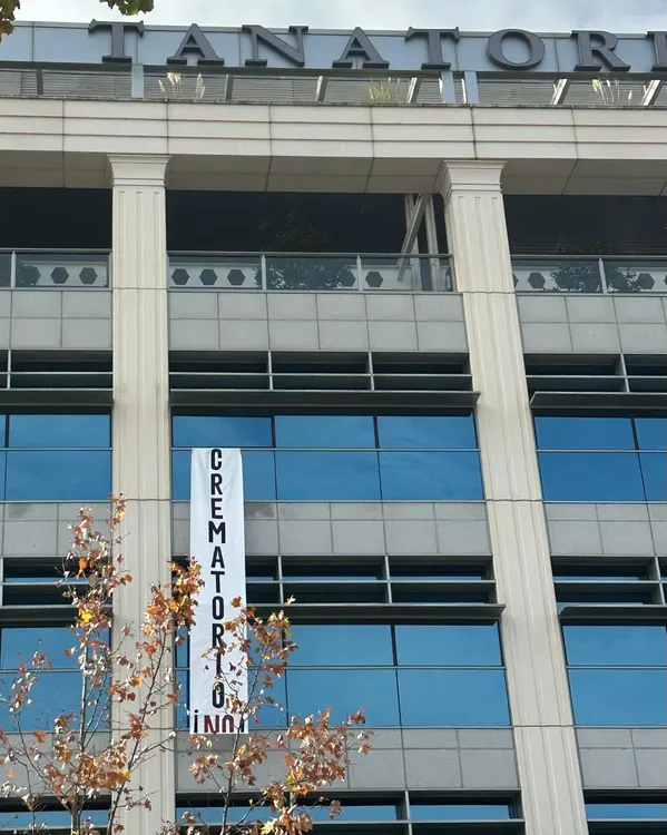 WhatsApp Image 2024-12-04 at 09.17.33