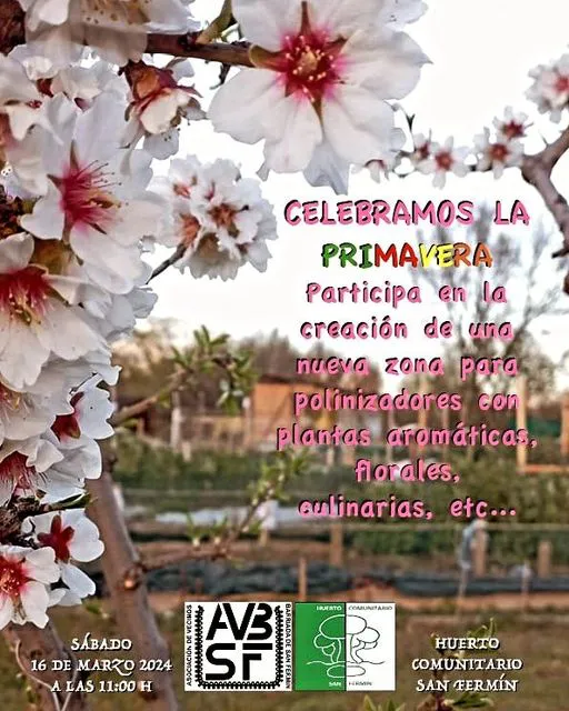 420300987_2622949251209599_6763913311389150134_n