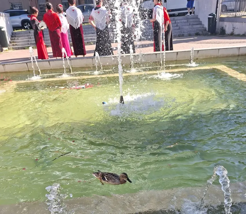 Patos ok 1 (2)