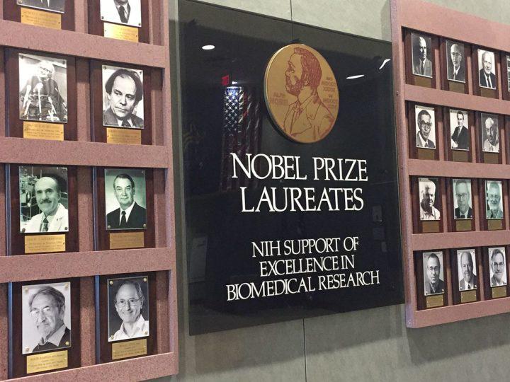 premios nobel
