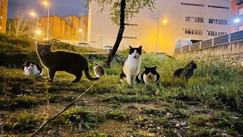 ZRyqLXCKZxSgXqY-800x450-noPad