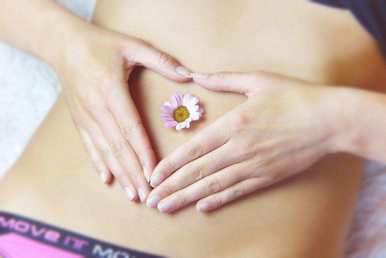 abdomen