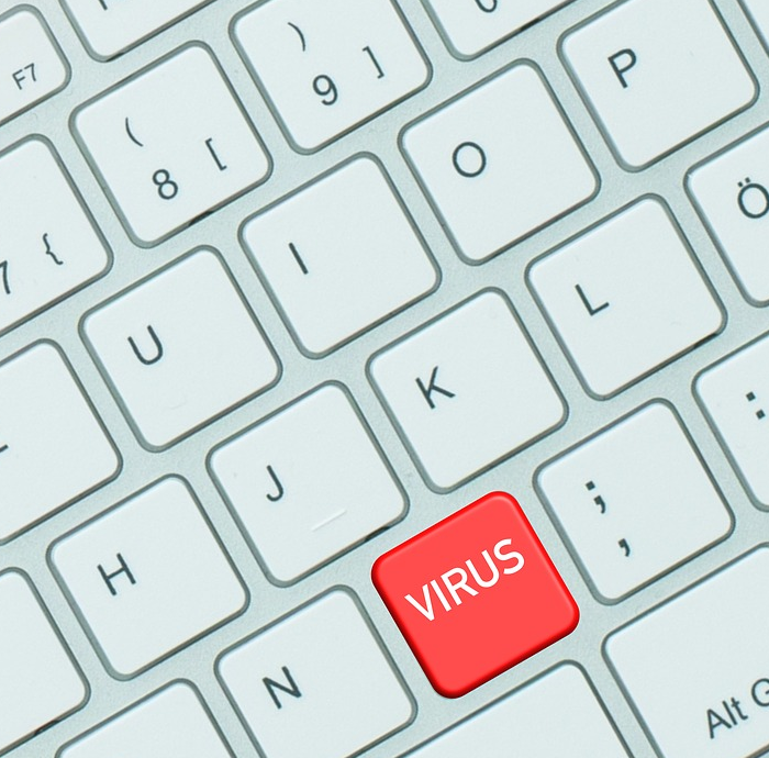 Virus en internet. Pixabay