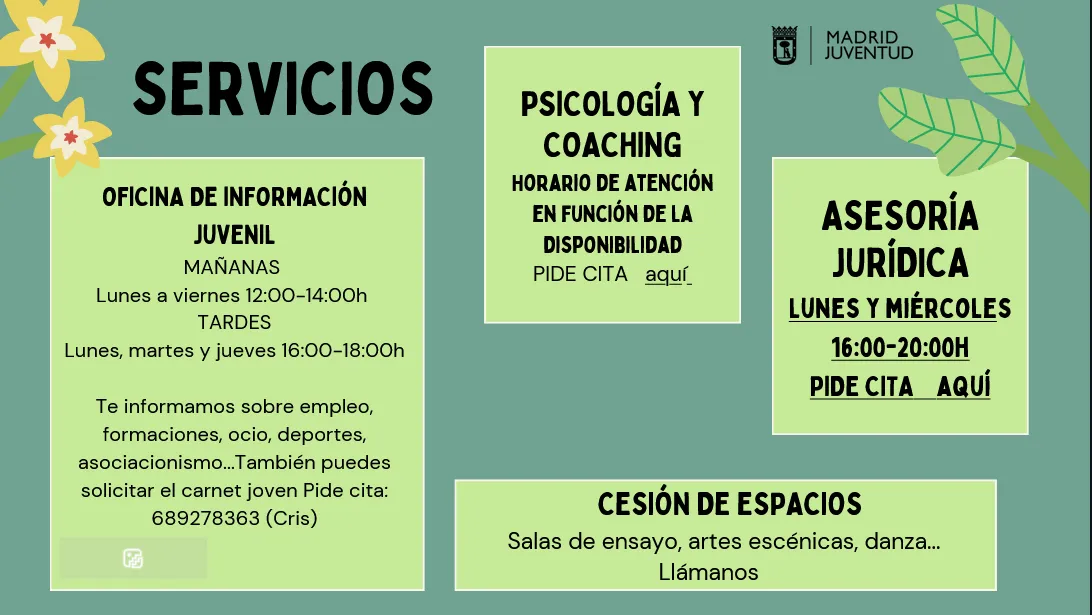 Servicios Pipo