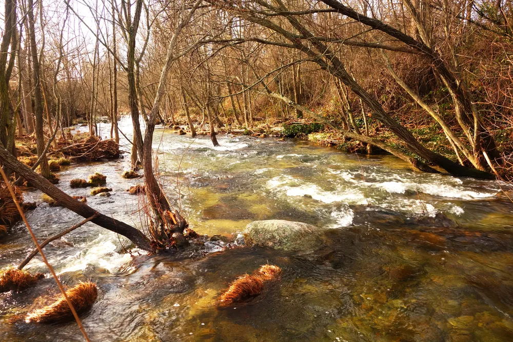 El_río_Manzanares_(32972459575)