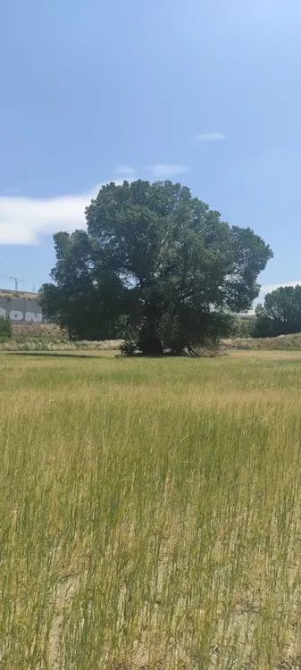 WhatsApp Image 2023-05-15 at 22.24.23