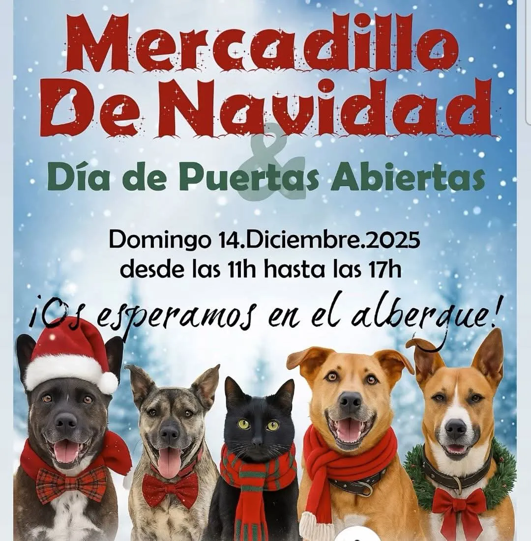 9aada477-00f7-4463-b50e-6b095d4e18ba